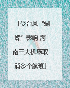 受台风“蝴蝶”影响 海南三大机场取消多个航班
