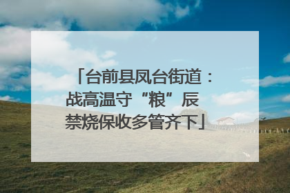 台前县凤台街道：战高温守“粮”辰 禁烧保收多管齐下