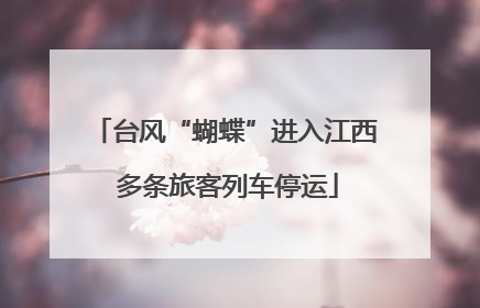台风“蝴蝶”进入江西 多条旅客列车停运