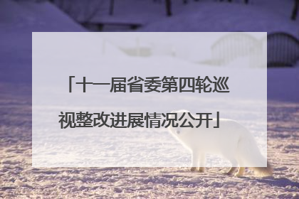 十一届省委第四轮巡视整改进展情况公开