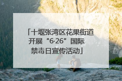 十堰张湾区花果街道开展“6·26”国际禁毒日宣传活动