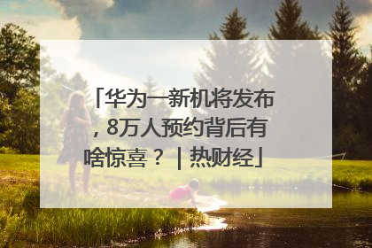 华为一新机将发布，8万人预约背后有啥惊喜？｜热财经