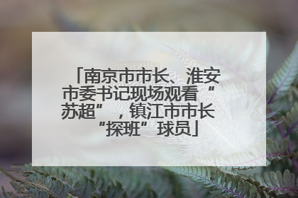 南京市市长、淮安市委书记现场观看“苏超”，镇江市市长“探班”球员