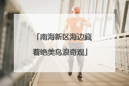 南海新区海边藏着绝美鸟浪奇观