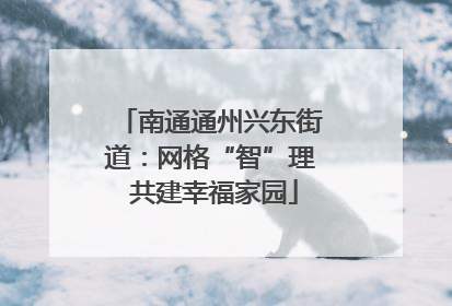 南通通州兴东街道：网格“智”理 共建幸福家园