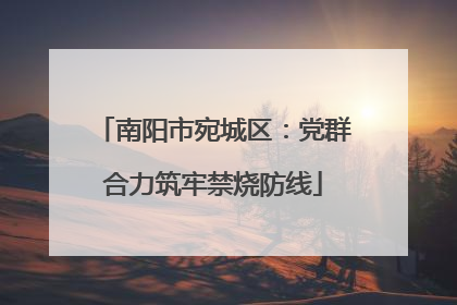 南阳市宛城区：党群合力筑牢禁烧防线