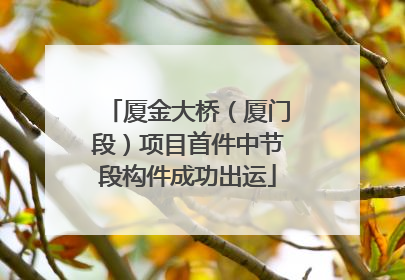 厦金大桥（厦门段）项目首件中节段构件成功出运