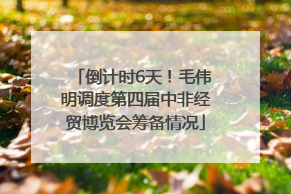 倒计时6天！毛伟明调度第四届中非经贸博览会筹备情况