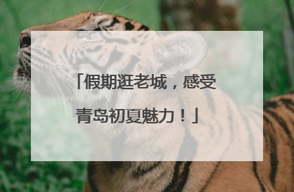 假期逛老城，感受青岛初夏魅力！