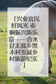 兴业富民好风光 奏响振兴新乐章——合水县太莪乡黑木村发展乡村旅游纪实