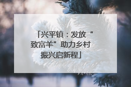 兴平镇：发放“致富羊”助力乡村振兴启新程