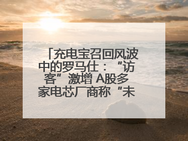 充电宝召回风波中的罗马仕：“访客”激增 A股多家电芯厂商称“未供货”