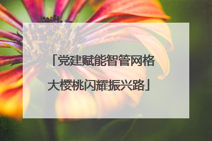 党建赋能智管网格 大樱桃闪耀振兴路
