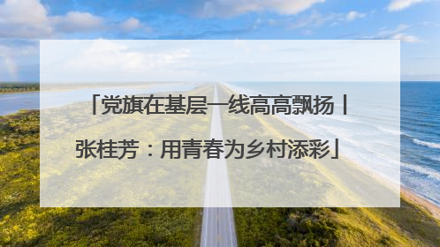 党旗在基层一线高高飘扬丨张桂芳：用青春为乡村添彩