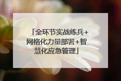 全环节实战练兵+网格化力量部署+智慧化应急管理