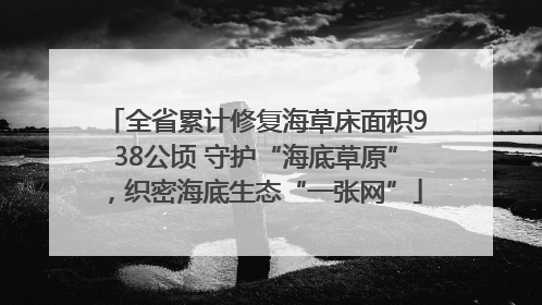 全省累计修复海草床面积938公顷 守护“海底草原”，织密海底生态“一张网”