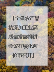 全省农产品精深加工业高质量发展推进会议在绥化海伦市召开