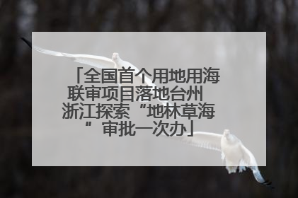 全国首个用地用海联审项目落地台州 浙江探索“地林草海”审批一次办