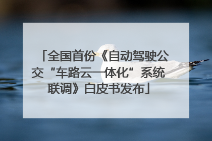 全国首份《自动驾驶公交“车路云一体化”系统联调》白皮书发布