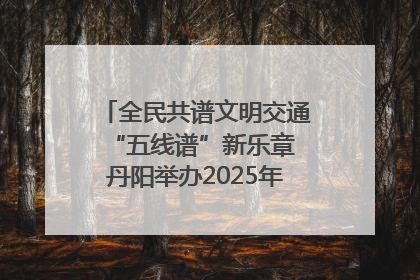 全民共谱文明交通“五线谱”新乐章 丹阳举办2025年“文明交通 同心同行”主题宣传活动