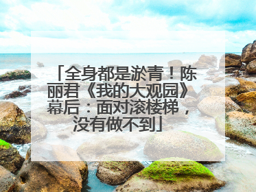 全身都是淤青！陈丽君《我的大观园》幕后：面对滚楼梯，没有做不到