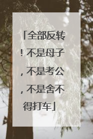 全部反转！不是母子，不是考公，不是舍不得打车