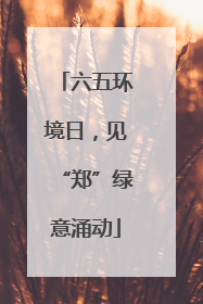 六五环境日，见“郑”绿意涌动