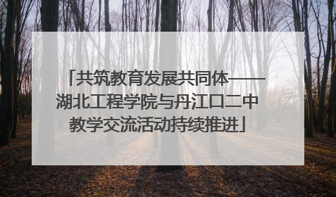 共筑教育发展共同体——湖北工程学院与丹江口二中教学交流活动持续推进