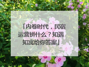 内卷时代，民宿运营拼什么？知遇知寓给你答案
