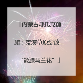内蒙古鄂托克前旗：荒漠草原绽放“能源马兰花”