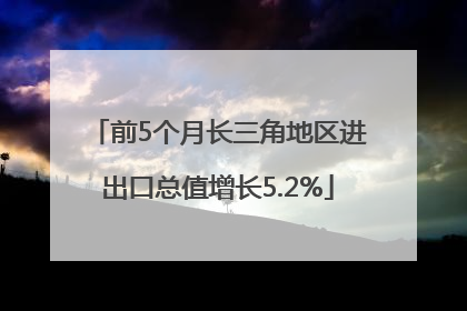 前5个月长三角地区进出口总值增长5.2%