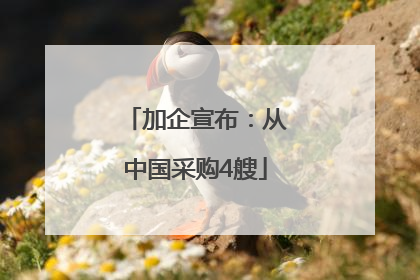 加企宣布：从中国采购4艘
