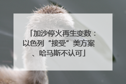 加沙停火再生变数：以色列“接受”美方案、哈马斯不认可