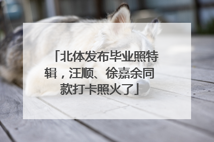 北体发布毕业照特辑，汪顺、徐嘉余同款打卡照火了