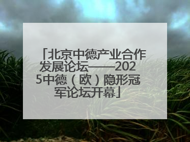 北京中德产业合作发展论坛——2025中德（欧）隐形冠军论坛开幕