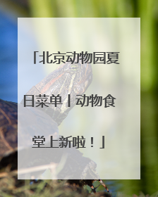 北京动物园夏日菜单丨动物食堂上新啦！