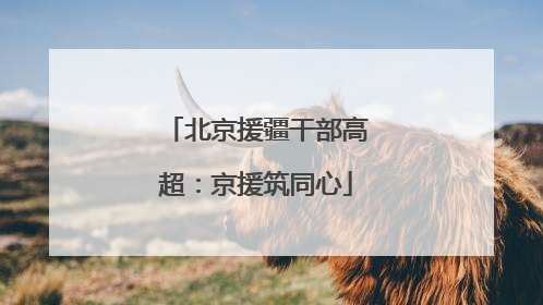 北京援疆干部高超：京援筑同心