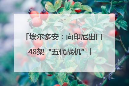 埃尔多安：向印尼出口48架“五代战机”