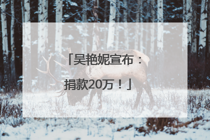 吴艳妮宣布：捐款20万！