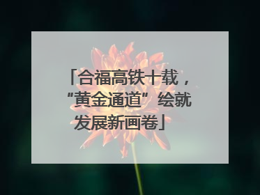 合福高铁十载，“黄金通道”绘就发展新画卷