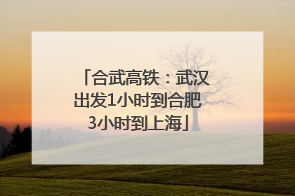 合武高铁：武汉出发1小时到合肥3小时到上海
