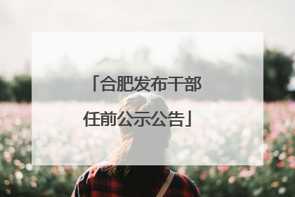 合肥发布干部任前公示公告