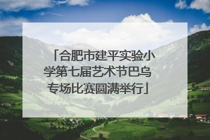 合肥市建平实验小学第七届艺术节巴乌专场比赛圆满举行