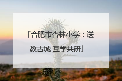 合肥市杏林小学：送教古城 互学共研