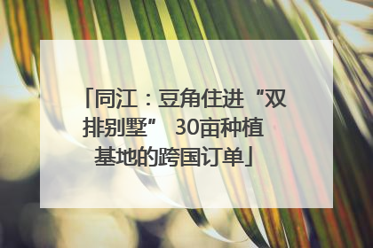 同江：豆角住进“双排别墅” 30亩种植基地的跨国订单