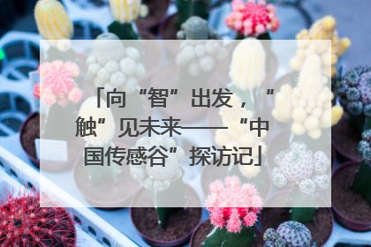向“智”出发，“触”见未来——“中国传感谷”探访记
