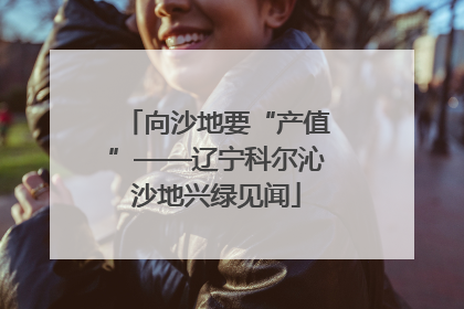 向沙地要“产值”——辽宁科尔沁沙地兴绿见闻