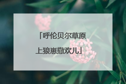 呼伦贝尔草原上狼崽撒欢儿