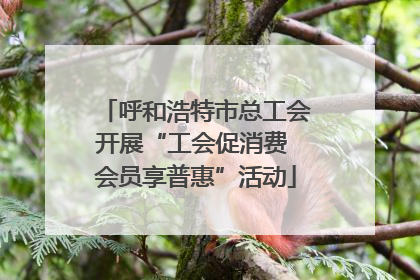 呼和浩特市总工会开展“工会促消费 会员享普惠”活动