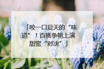 咬一口夏天的“味道”！百桃争艳上演甜蜜“对决”